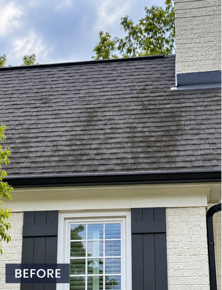 Black algae streaks soft washed from shingles — before cleaning in Franklin, TN